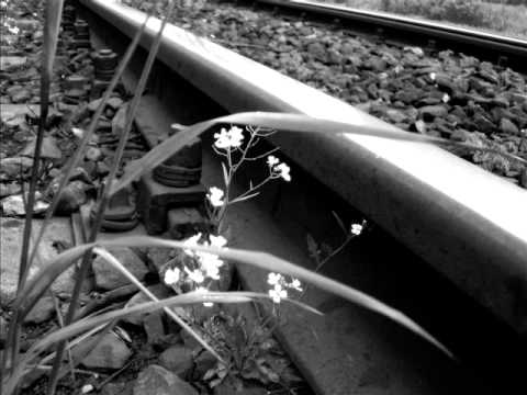 Nuna i Junior - Lajfstory