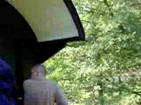 Unterwegs mit der Kandertalbahn / Riding the Kandertal Train