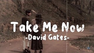 Take Me Now (Lyrics) - David Gates | Lovesong | Lyricsvideo | Oldsongs