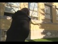 james murray - toronto - out of the cold 