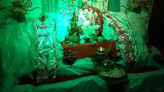 preview picture of video 'Ganesh pooja  decoration(MPDthe event planner)8115062582'