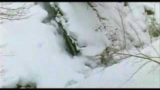 King Prawn - Dominant View