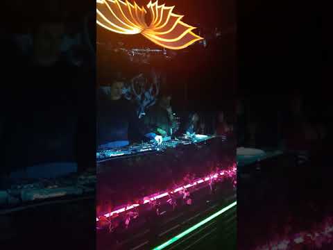 Cally Cymatic Hangar London Fields 15/04/2018