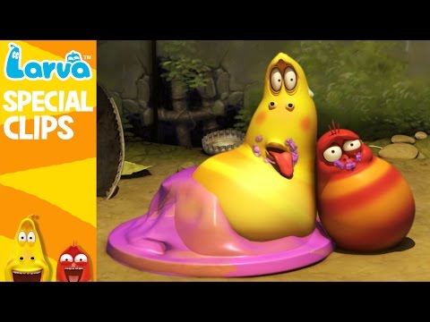 [Official] LARVA Weekly Best - Funny Animation Compilation - Week 1 NOV 2016