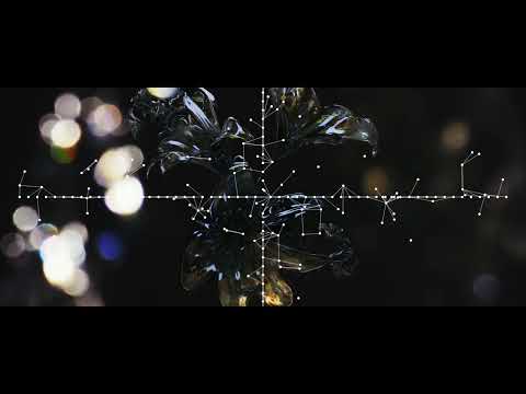 STAR SEED, Kozmoz, Suave - Burial