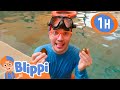 Blippi Searches For The Mother Pearl Blippi Preschool Kids Show