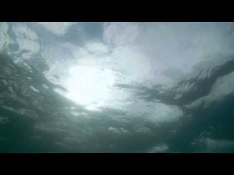 Рыжий пес - Trailer