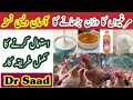 Chicken Weight Gain Tips How To Increase Weight Gain In Chickens Desi Formula Of Weight Gain