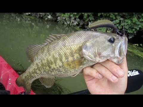 Kayak Bass Fishing the Colorado River