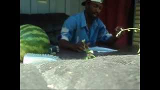 (APTV) Cribs/ Hard Times / Hiram Clarke: The Movie - Trailer # 5