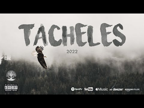 Skogan - Tacheles 2022