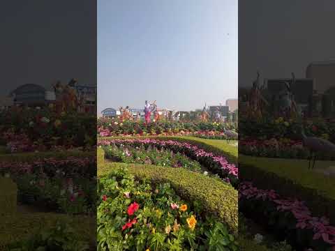 Vrindavan ♥️🦚 #radharani #krishna #support #trendingshorts