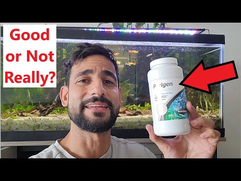 Here's What Nobody Tells You About Seachem Purigen