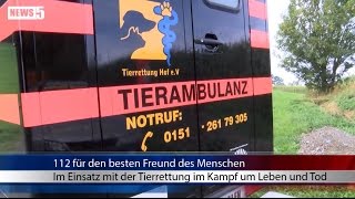 28.09.2015 (HO) 112 für den besten Freund des Menschen