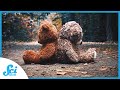 The Stages Of A Failed Relationship Compilation