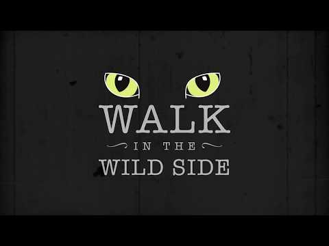 Walk on the Wild Side 1962