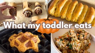 Four toddler meals from one can of pumpkin puree