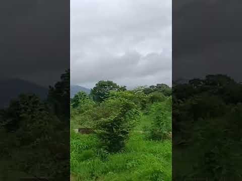 Barsat ke din#travel #viral #shortvideo #trainjourney