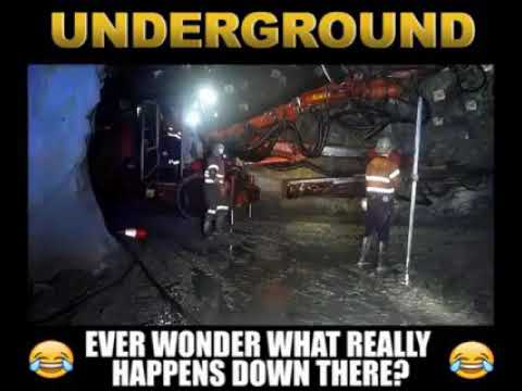 Mineros terroristas...