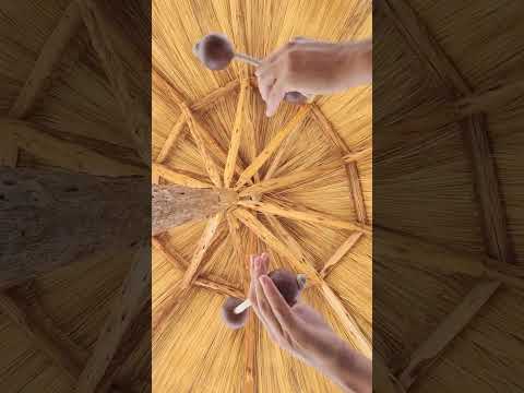 Kass Kass y malabares (asalato) #shorts