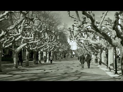 Las Estatuas del Paseo Marceliano Santamaría y Espolón (Burgos) - Fundación Caja Rural Burgos