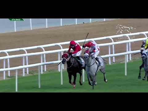 WATHBA STALLIONS CUP FOR PRIVATE OWNERS - ABU DHABI EQUESTRIAN CUP  |  23/03/2024