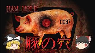 【ゆっくり実況】人類を救うために志願した政府の任務がヤバすぎた HAM HOLE 【ホラーゲーム】
