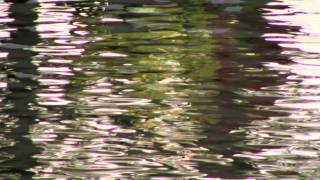 Children Of The Rainbow / TOKYO OFFSHORE PROJECT