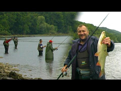 Pecanje na plovak - skobalj na reci Drini - Takmičenje "Skobaljijada"| Fishing on float