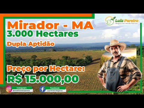 Fazenda em Mirador MA 3.000 hectares, com áreas em pastagens e licença em andamento
