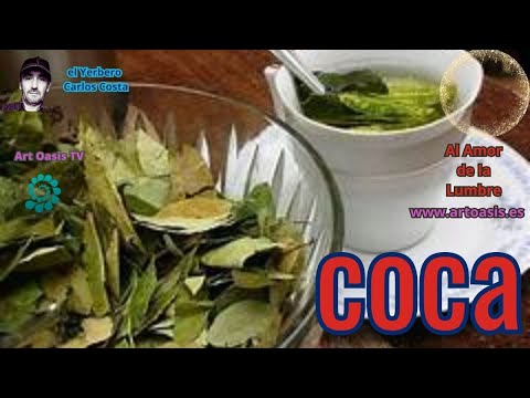 La Hoja de COCA,  Al Amor de la Lumbre con el Yerbero Carlos Costa