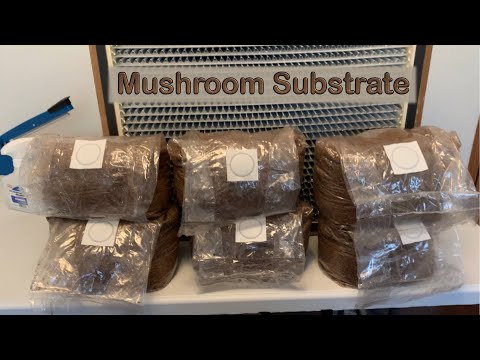 How to Make Oak Wood Pellet Substrate for Growing Mushrooms