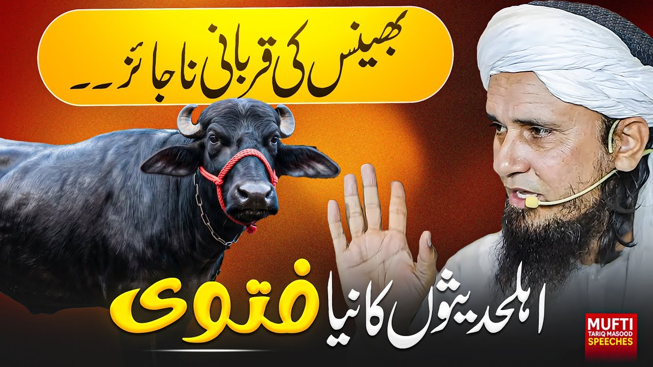 Bhains Ki Qurbani Na Jaiz ? | Ahle Hadeeson Ka Naya Fatwa | Mufti Tariq Masood Speeches 🕋