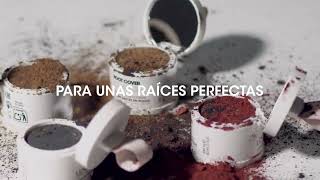 Lendan Root Cover pudr pro zakrytí odrostů a šedin BLONDE 4 g