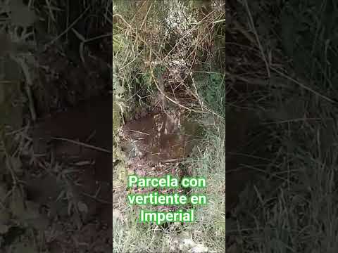 Parecela ideal para uso agrícola o ganadero en Nueva Imperial, La Araucanía