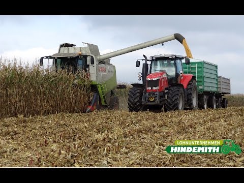 Mais dreschen | 2x Massey Ferguson & Claas Drescher | Lohnunternehmen Hindemith