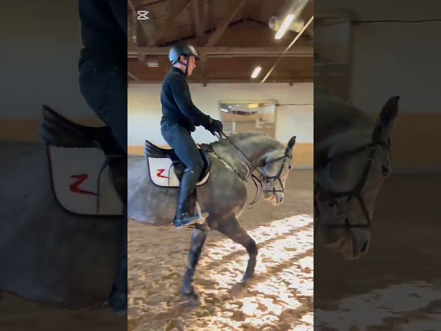 Flame Ground Work/Flat Work