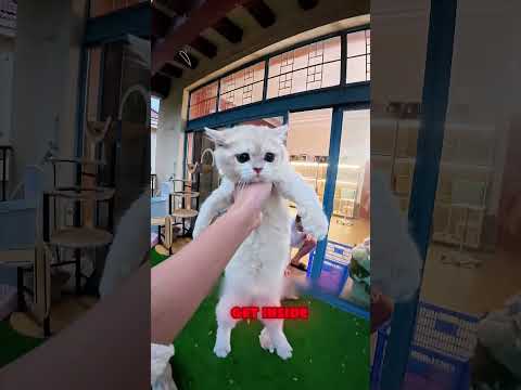 Rainy Day MELTDOWN! 😤☔️  When Kids REFUSE to Come Inside!