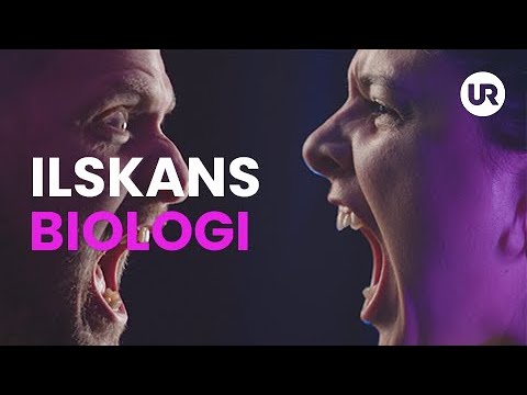 Ilskans biologi - Sverige forskar