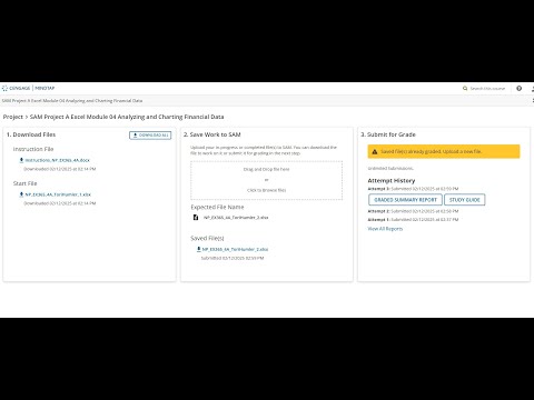 CIS 1060 - SAM Project A Excel Module 04 Analyzing and Charting Financial Data