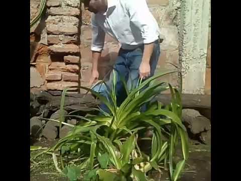 Rodrigo Cortés Rojas-53