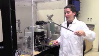 Mosquitoes' Attraction to Carbon Dioxide and Skin Odors: Ray Lab, UC Riverside