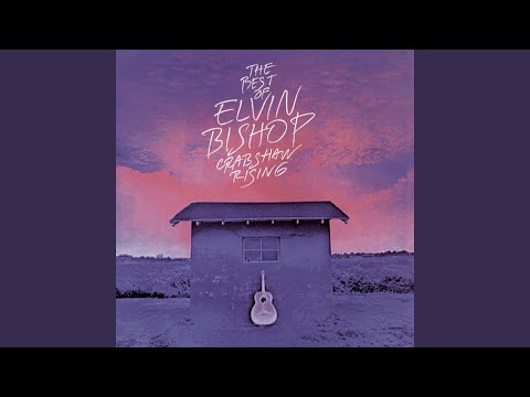 So Fine - the elvin bishop group