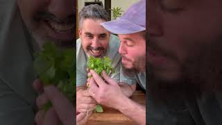 פטריות ממולאות נוסח בלקני ובנוסח ים תיכוני של מי יצא יותר טעים עדכנו אותנו ? של מרינה פטריות הגליל
