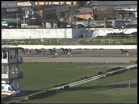 Trotto 09/12/2014 - 2° prova di qualifica