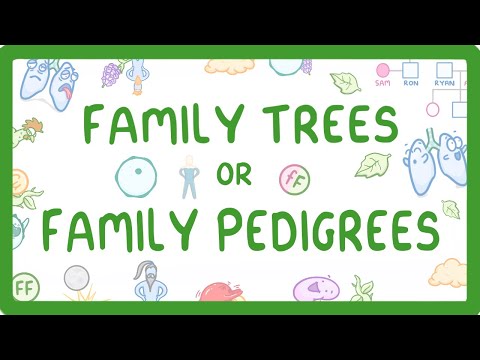 GCSE Biology - Family Trees / Family Pedigrees (2026/27 exams)