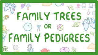 GCSE Biology - Family Trees / Family Pedigrees #74