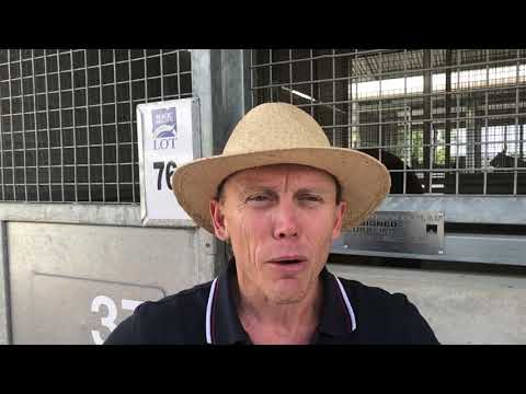 Munce Racing - Shooting To Win filly