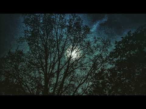 𝙁𝙚𝙚𝙡 𝙩𝙝𝙚 𝙧𝙖𝙞𝙣𝙙𝙧𝙤𝙥𝙨 𝙤𝙣 𝙮𝙤𝙪𝙧 𝙨𝙠𝙞𝙣.