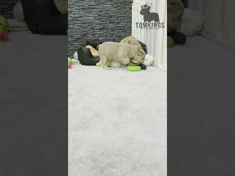 Video 2